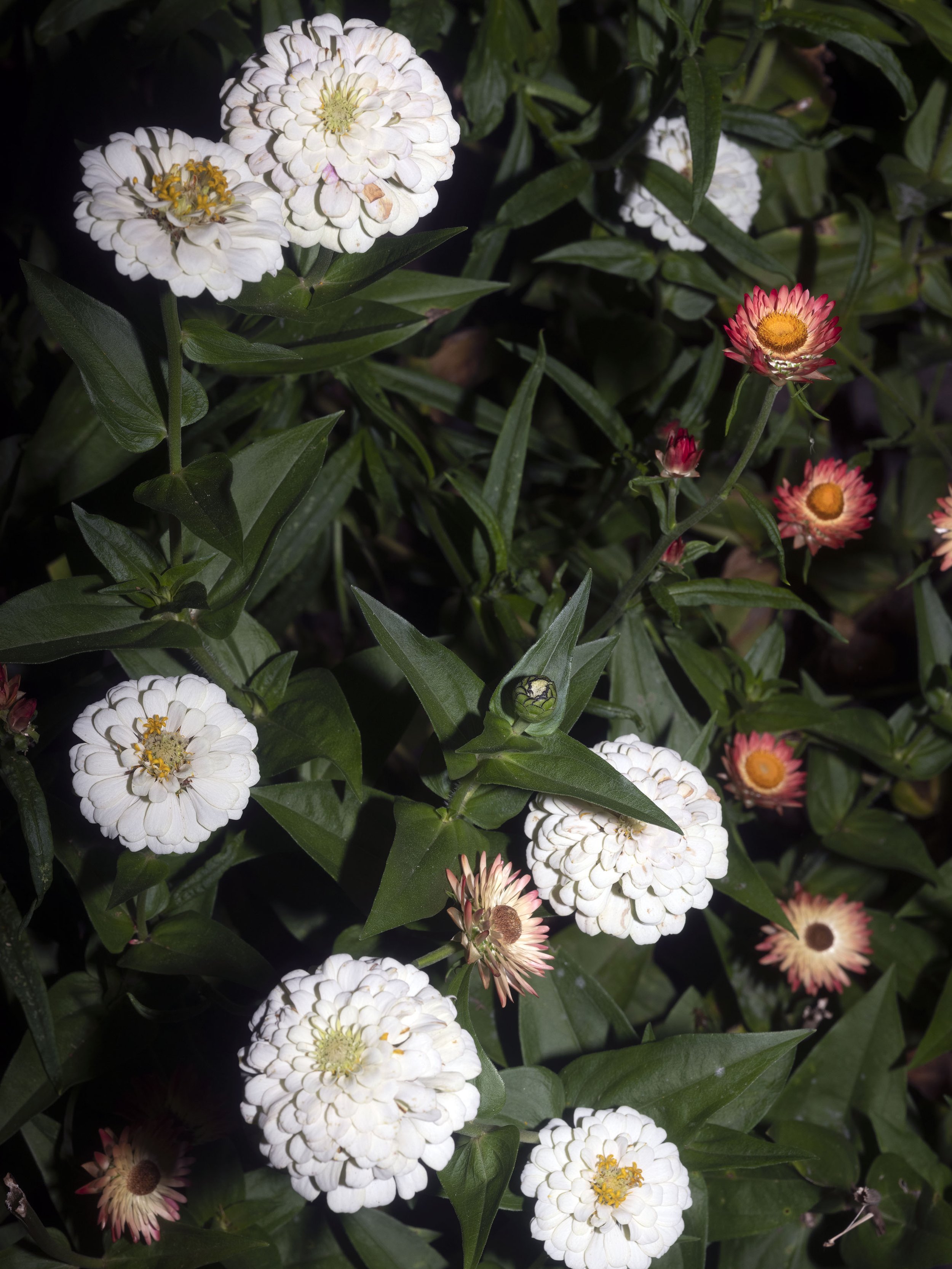 COFFEE & CONVERSATION COFFEE & CONVERSATION